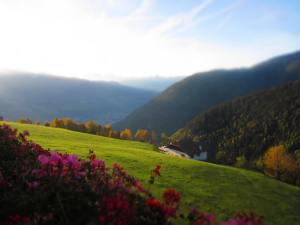 The hills around Bolzano, Alto Adige
